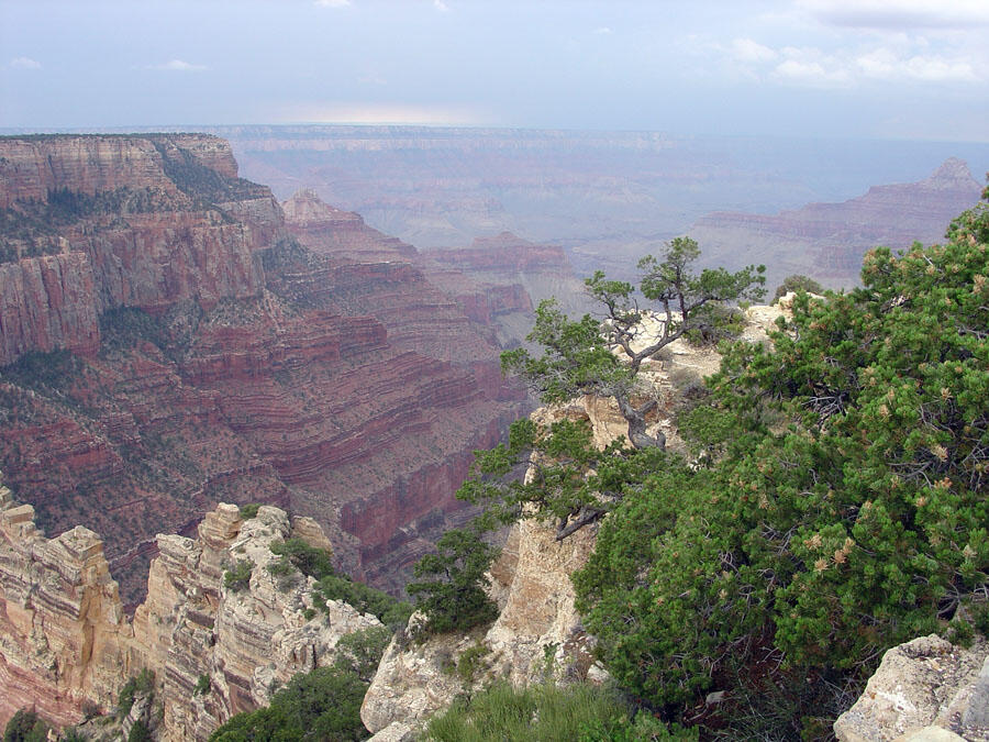 This is a photo of a view from Roosevelt Point on the North Rim of Grand Canyon National Park.