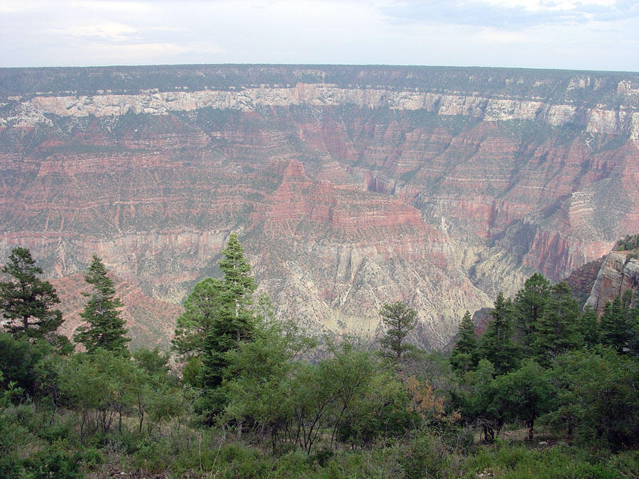 This is a photo of the massive, white cliffs of the Coconino Sandstone.