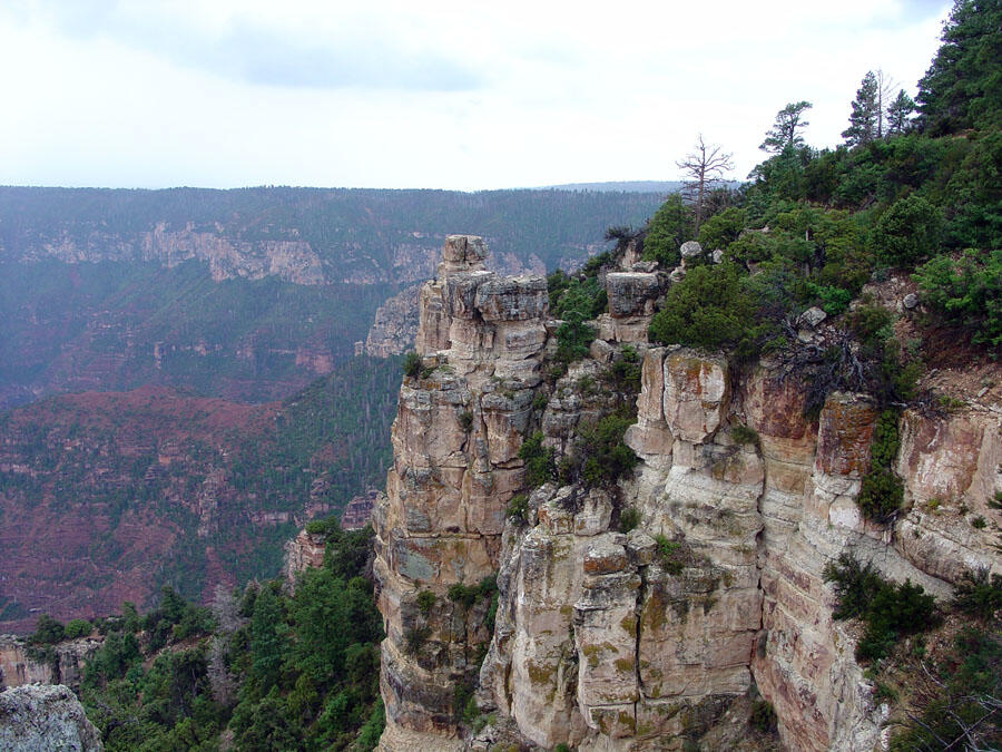 This is a photo of the Walhalla Plateau.