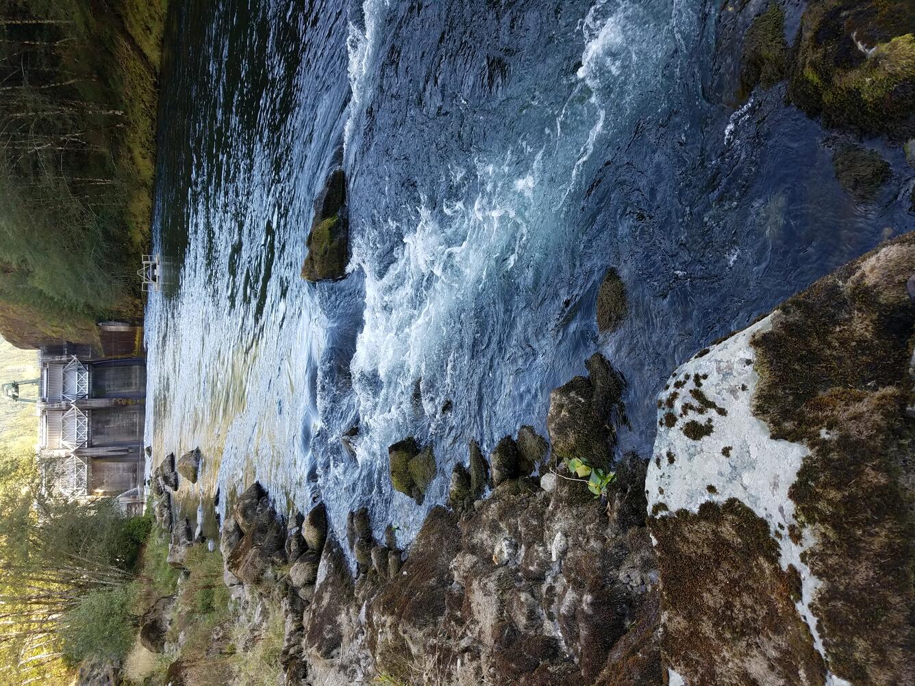 North Santiam River, Oregon, downstream from Big Cliff Dam