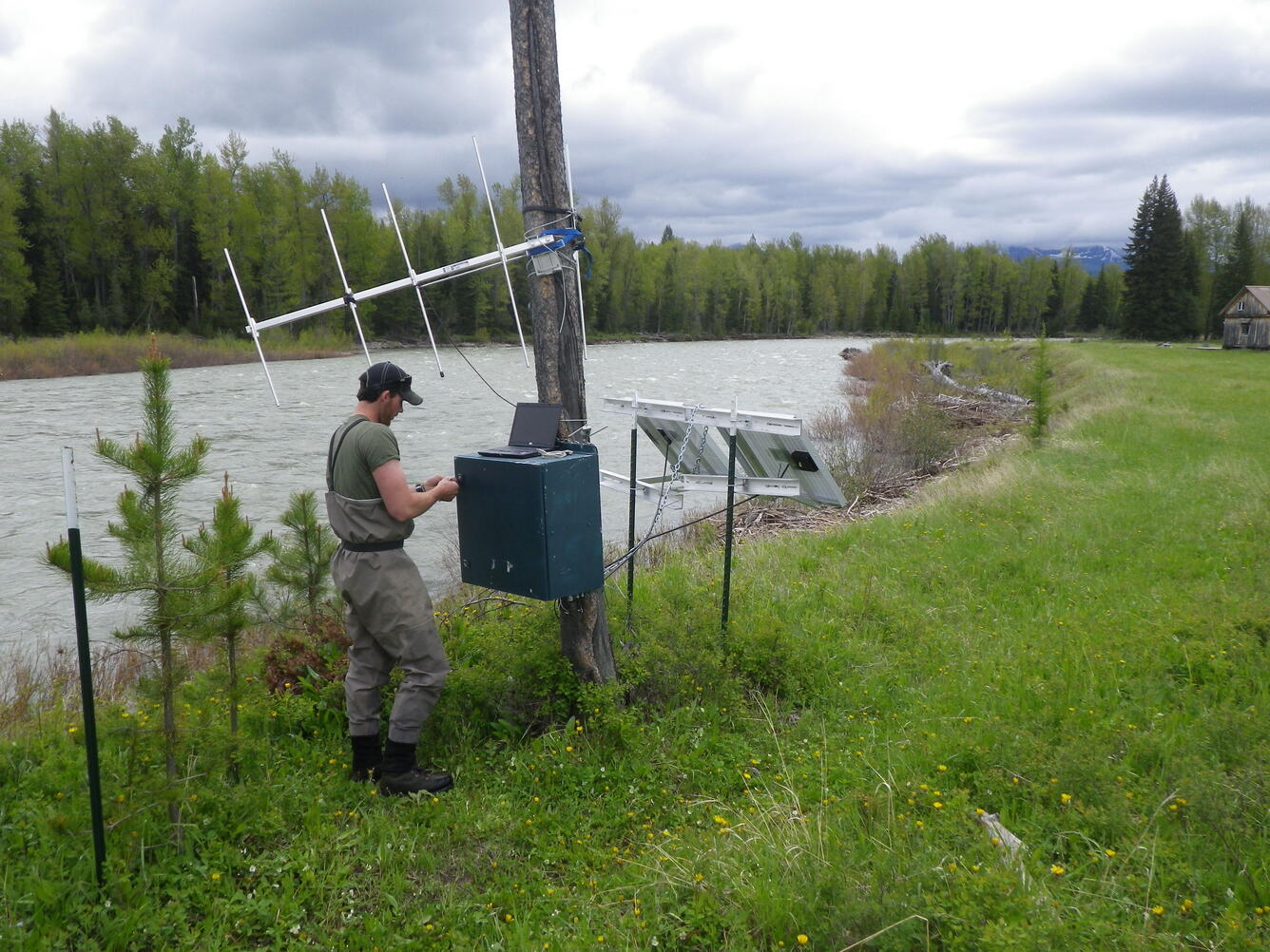 Tracking station for tagged fish