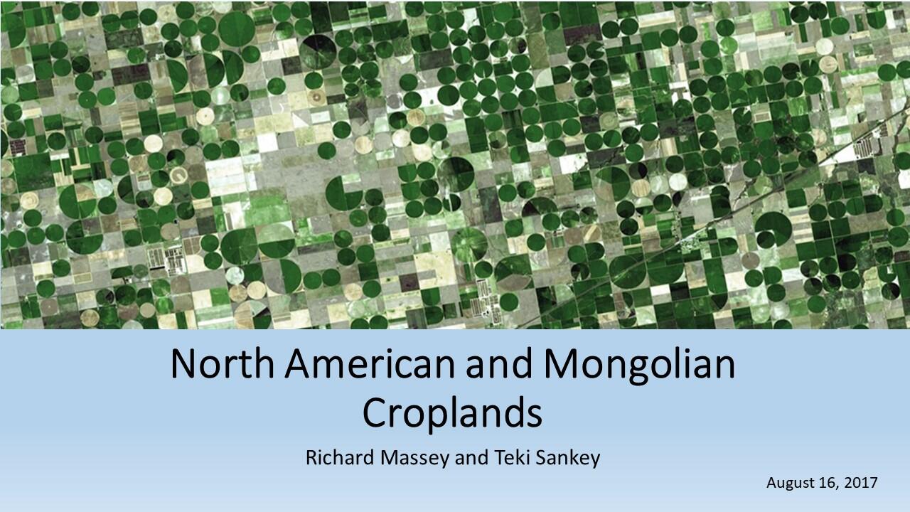North American and Mongolian Croplands