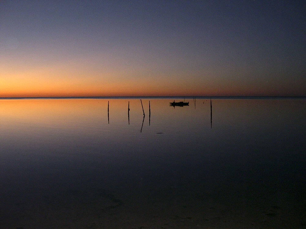 A submarine-ground-water-discharge site at Florida State University's Marine Lab at just after sunset
