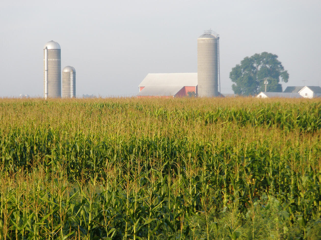 Northern Illinois Field