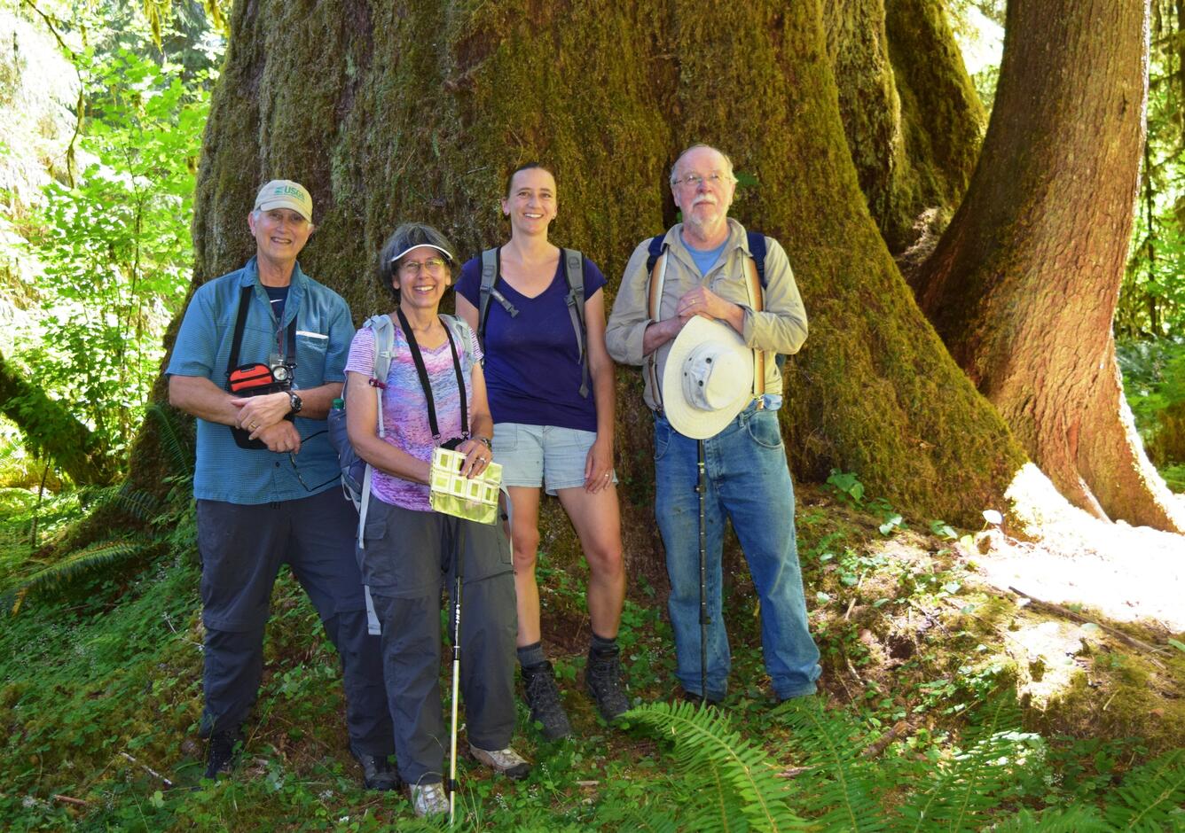 USGS researchers in front of a large tree in Olympic National Park