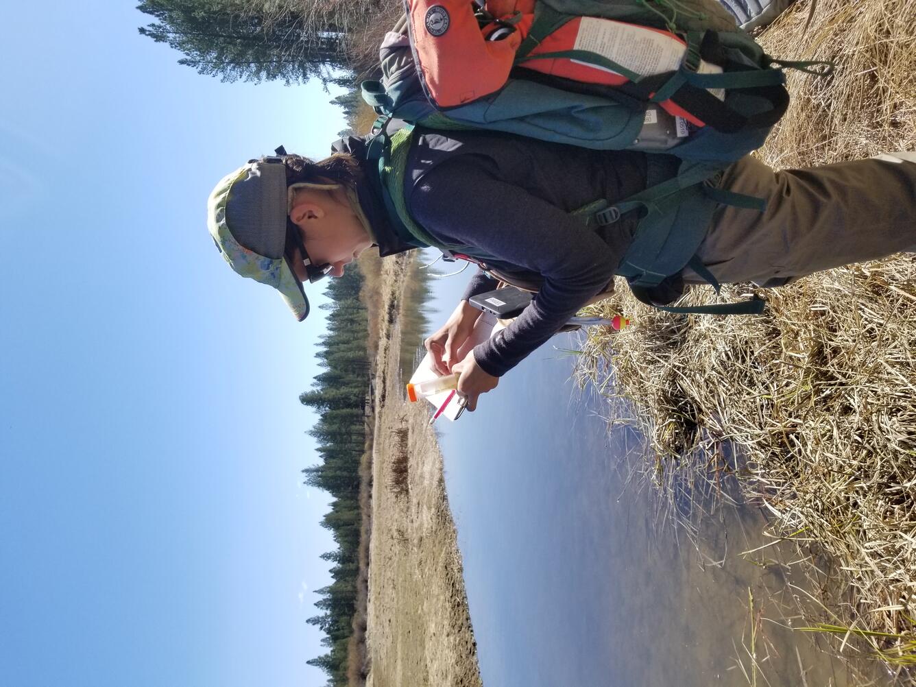 Shelby Bauer collects data during Oregon spotted frog fieldwork