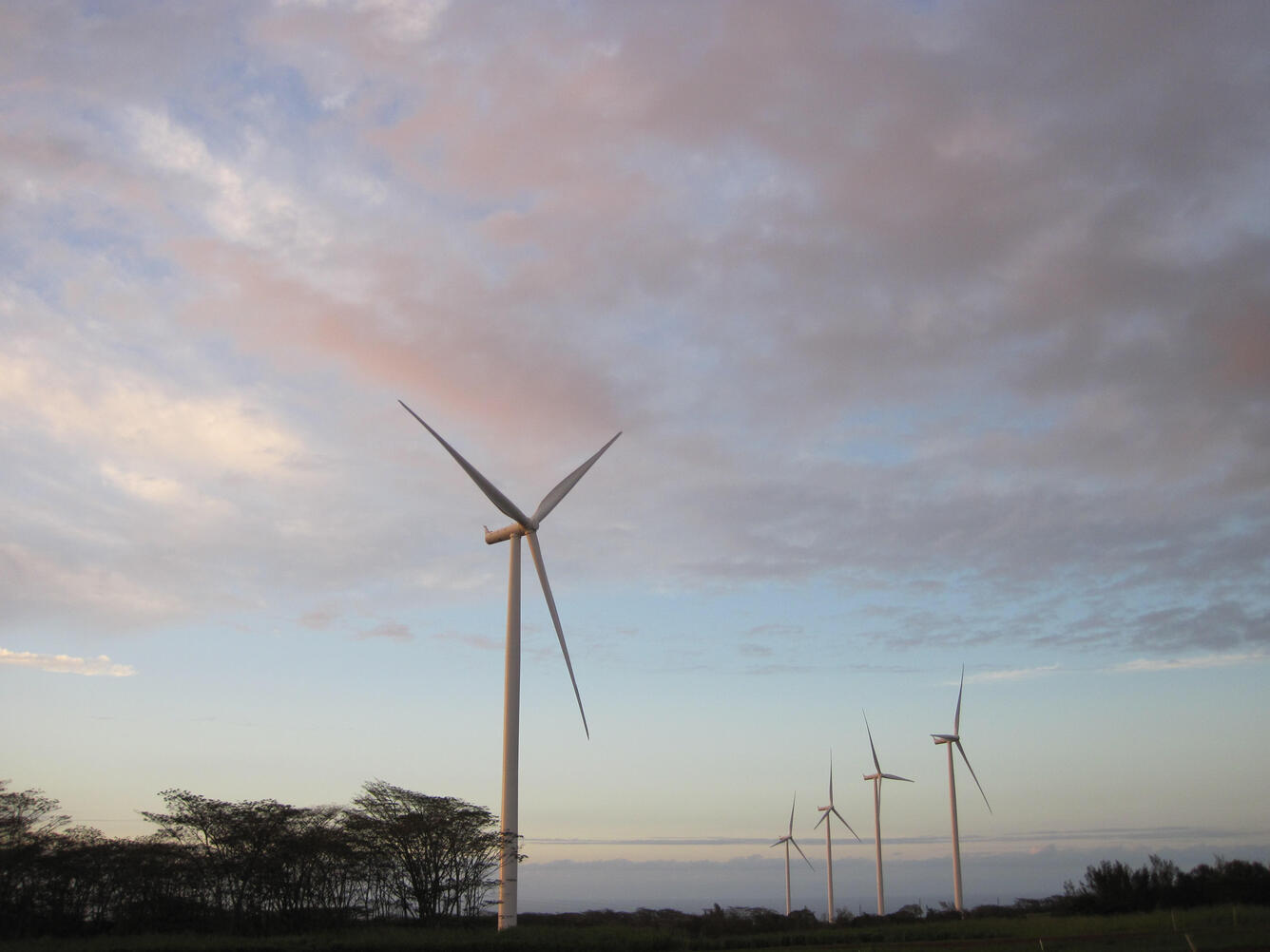 Wind turbines and trees against sky at sunset.