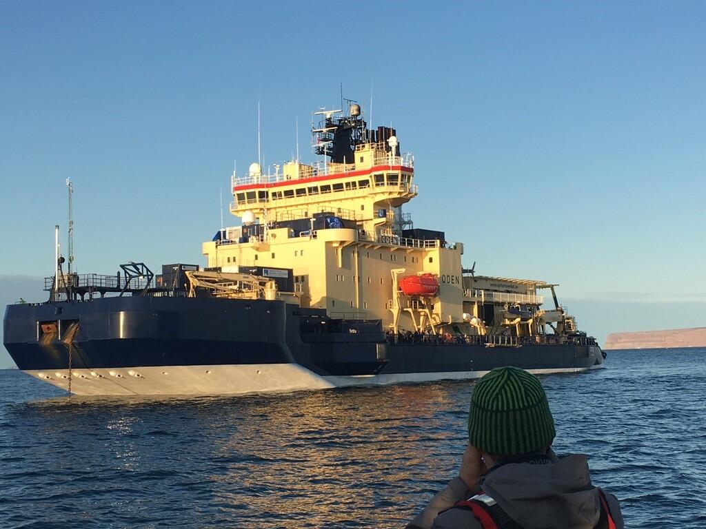 icebreaker ship off the coast of Greenland