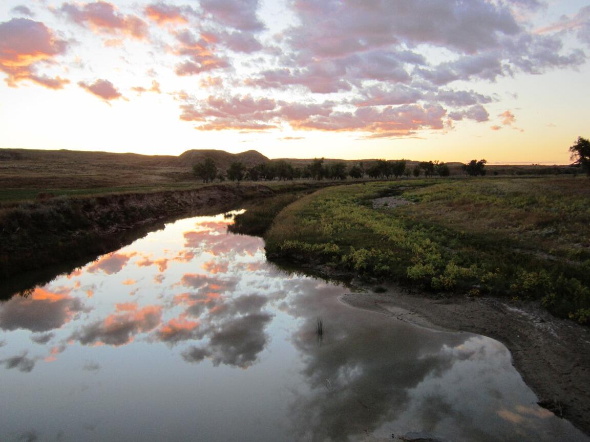 Montana Fisheries O'Fallon Cr nr Mildred