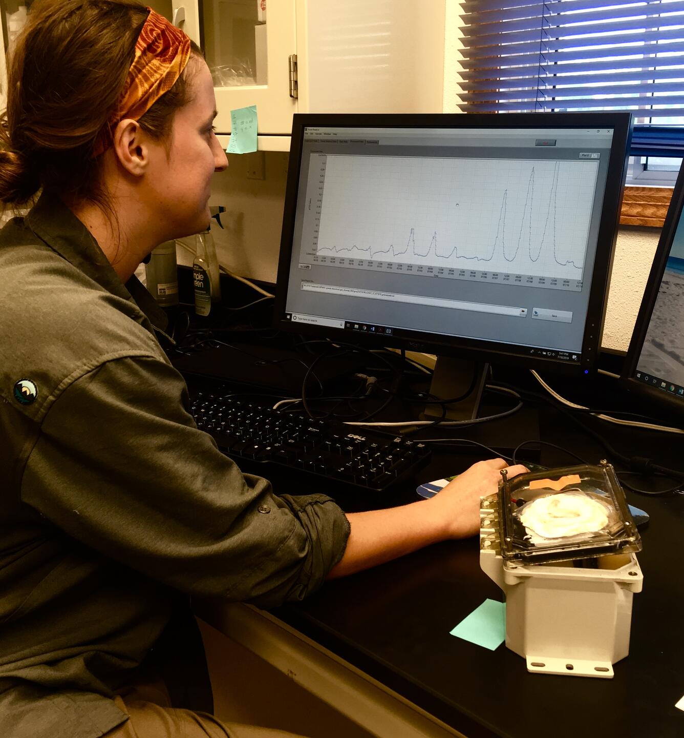 Technician downloads gas sensor data on computer