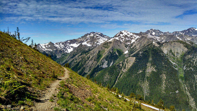 A trail through a green mountain slope with a view of huge mountains in the background in Olympic National Forest