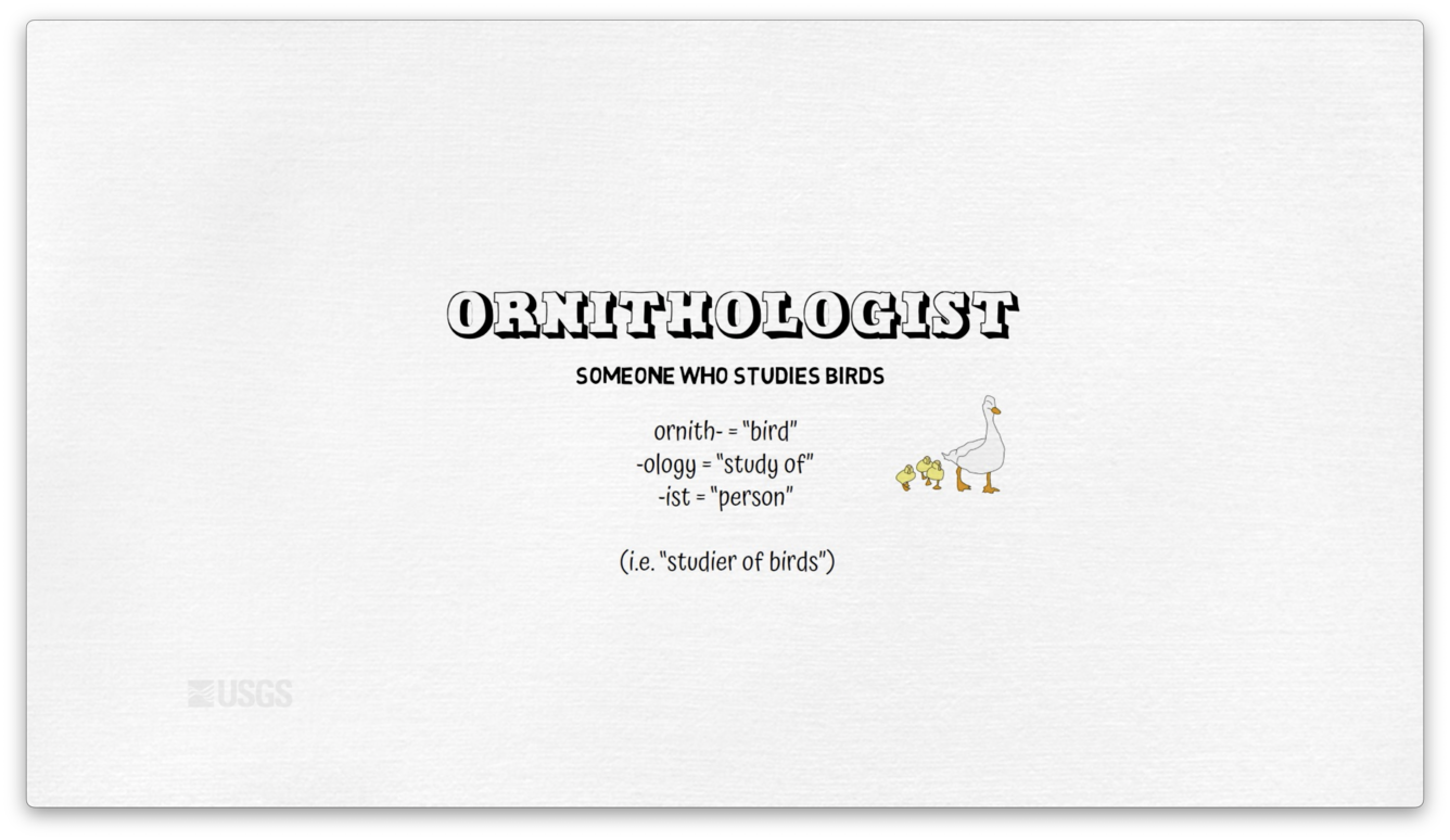 ornithologist