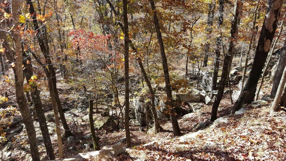 Creek in the Ozark Mountains just West of Clinton - Arkansas