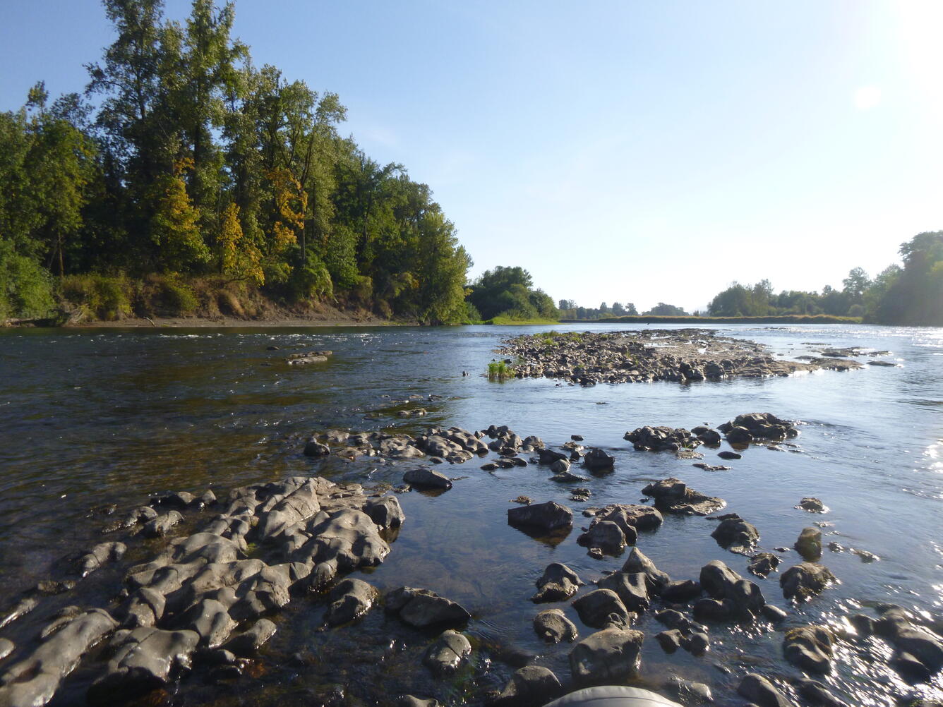 willamette river floodplain 2