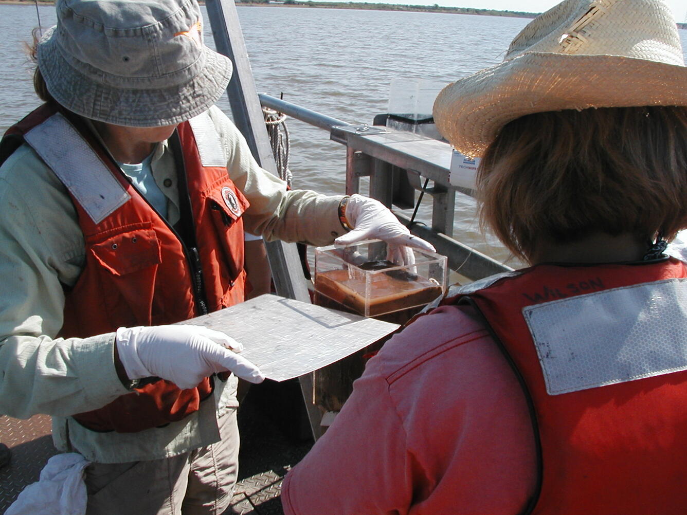 Lake sediment sample