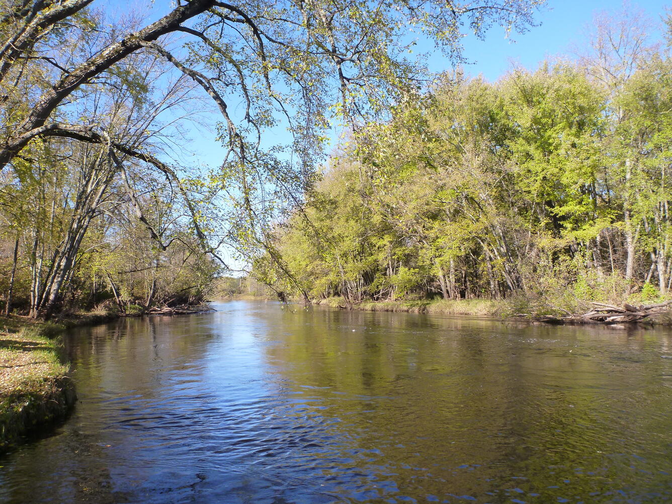 Flambeau River flowing smoothly with tree-lined riverbanks