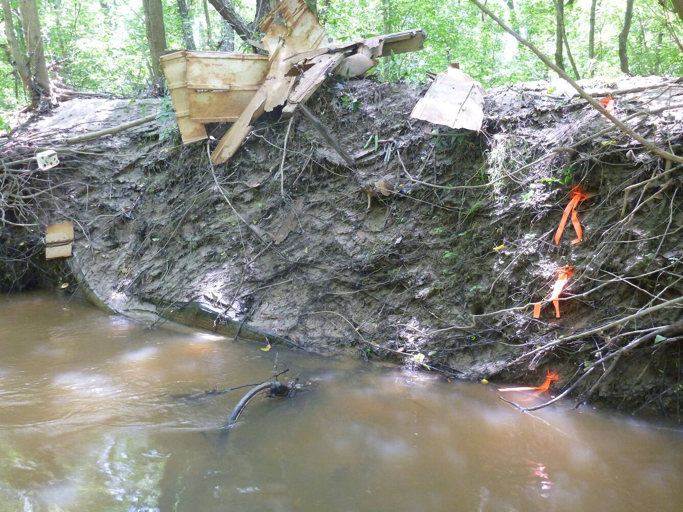 An image taken along Western Branch in Maryland