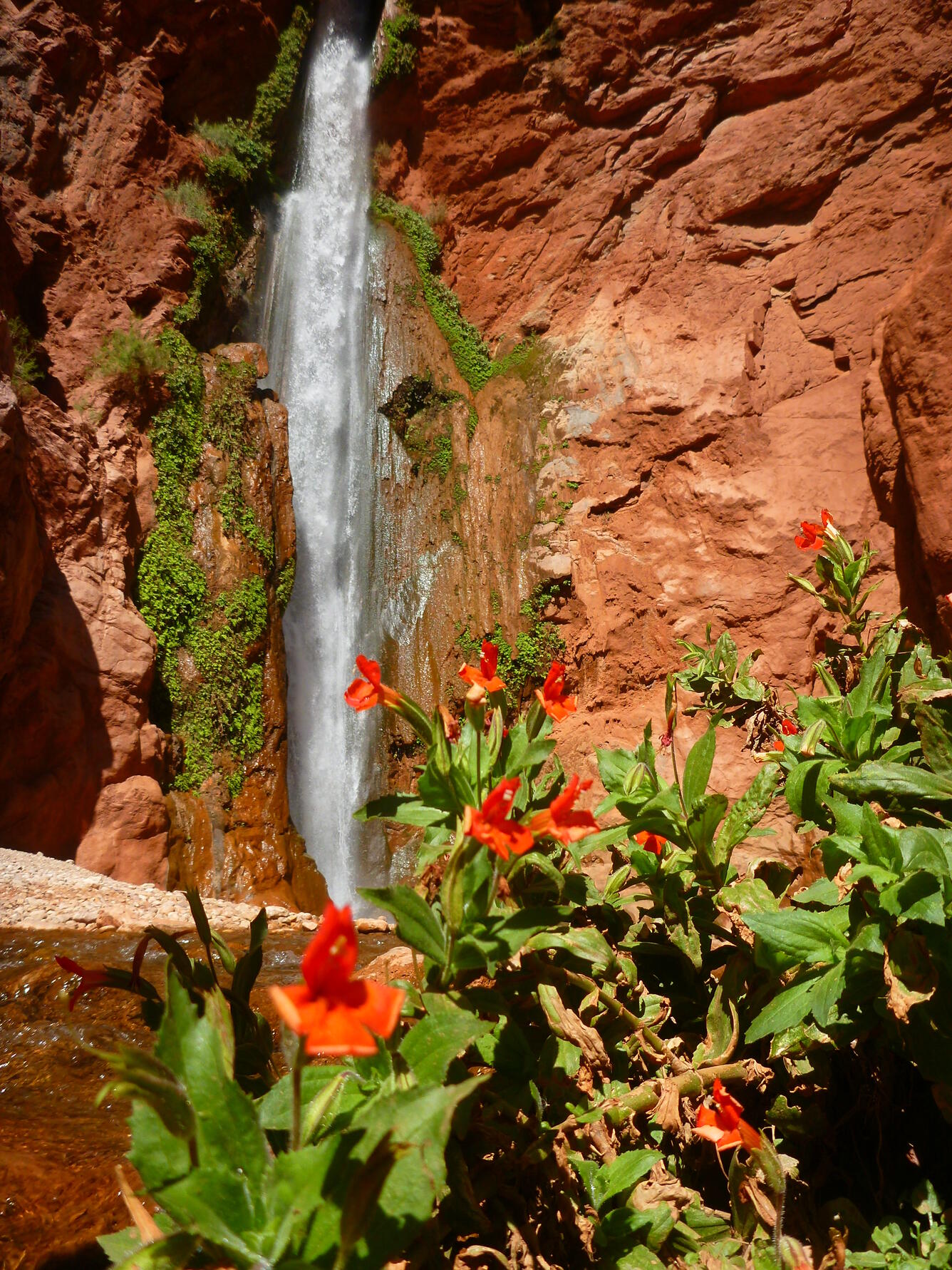 Deer Creek Falls, Colorado River, Grand Canyon
