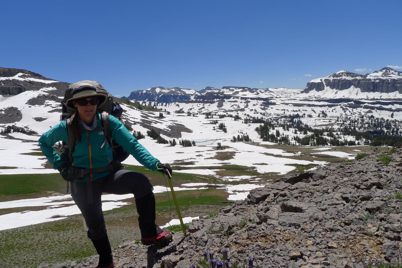 Grand Teton Nat'l Park, 2014