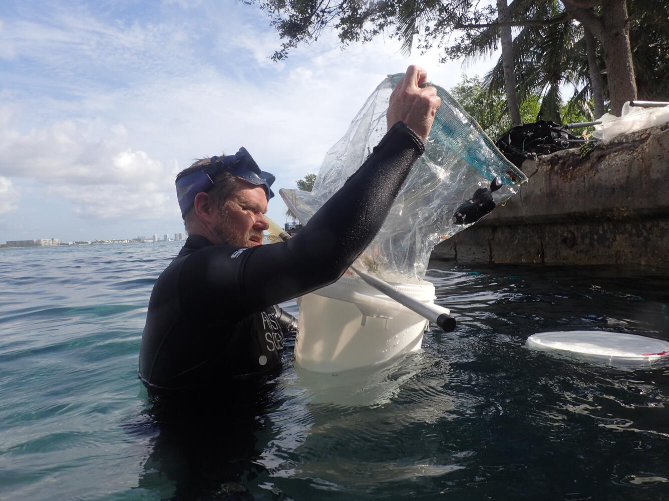 Andy Dehart (Frost Museum) Observes the Live-Captured Red-Toothed Triggerfish