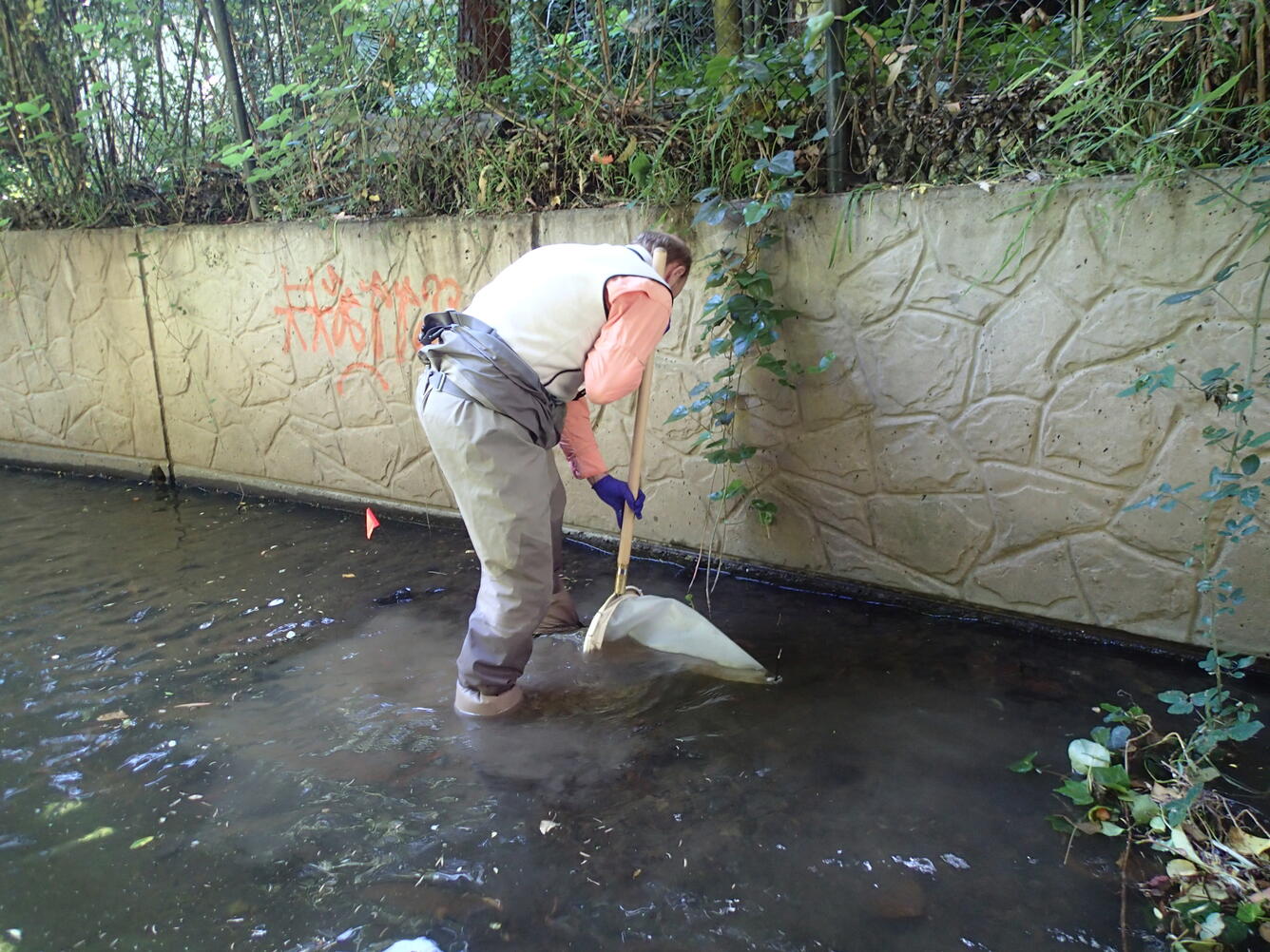 Sample collection during CSQA ecological survey
