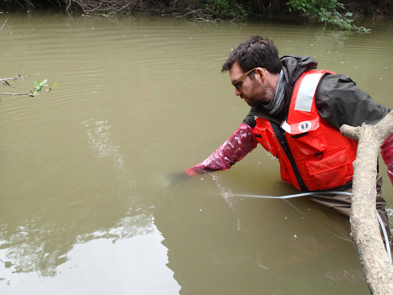 Sample collection during CSQA ecological surveys at Parajo Chittedon