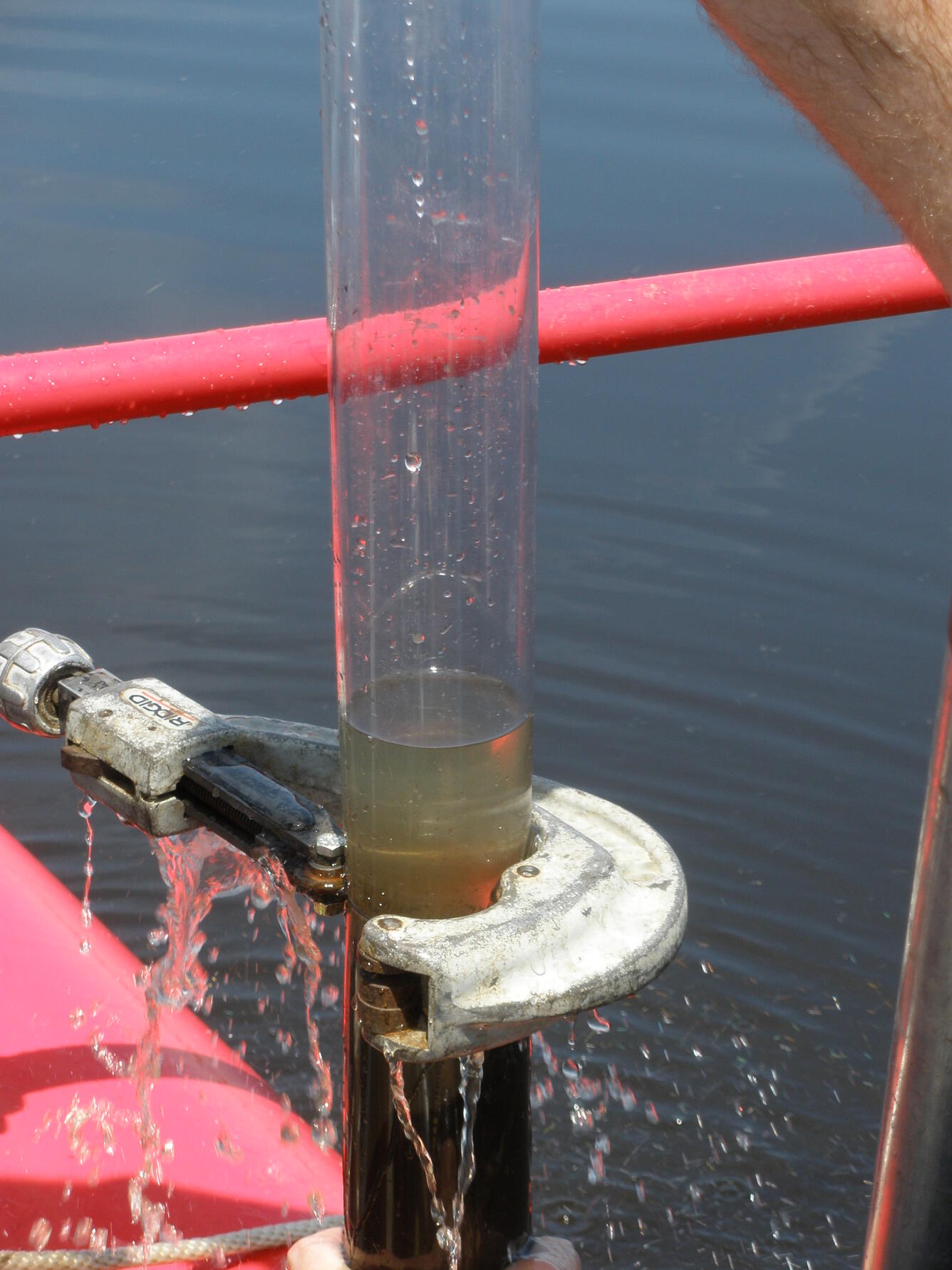 Lake sediment core sample