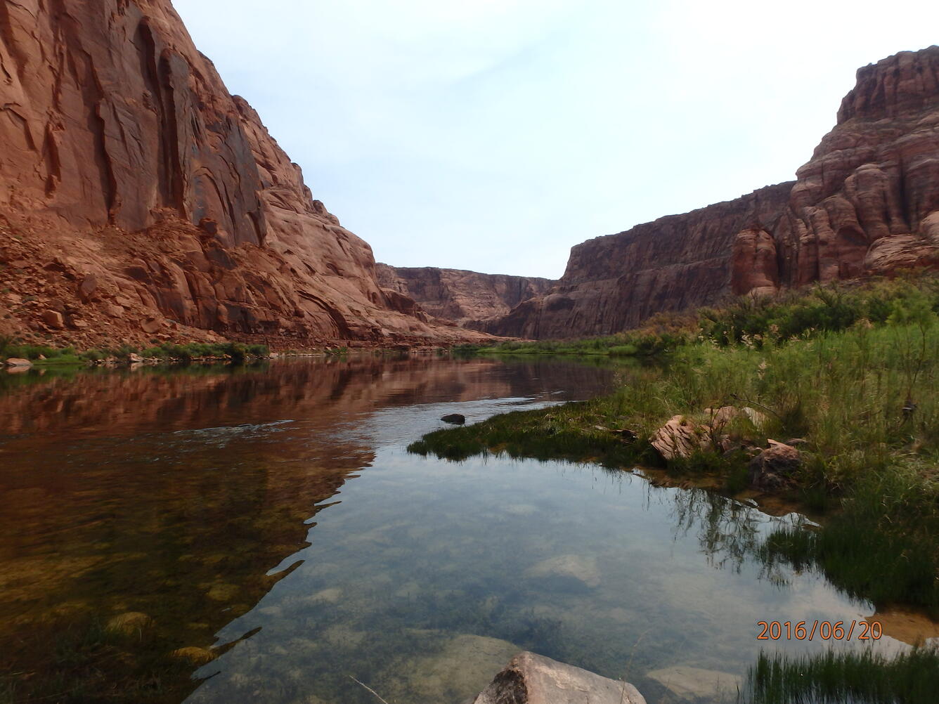 Upstream view from the Colorado River. Riparian vegetation and red canyon walls are visible.