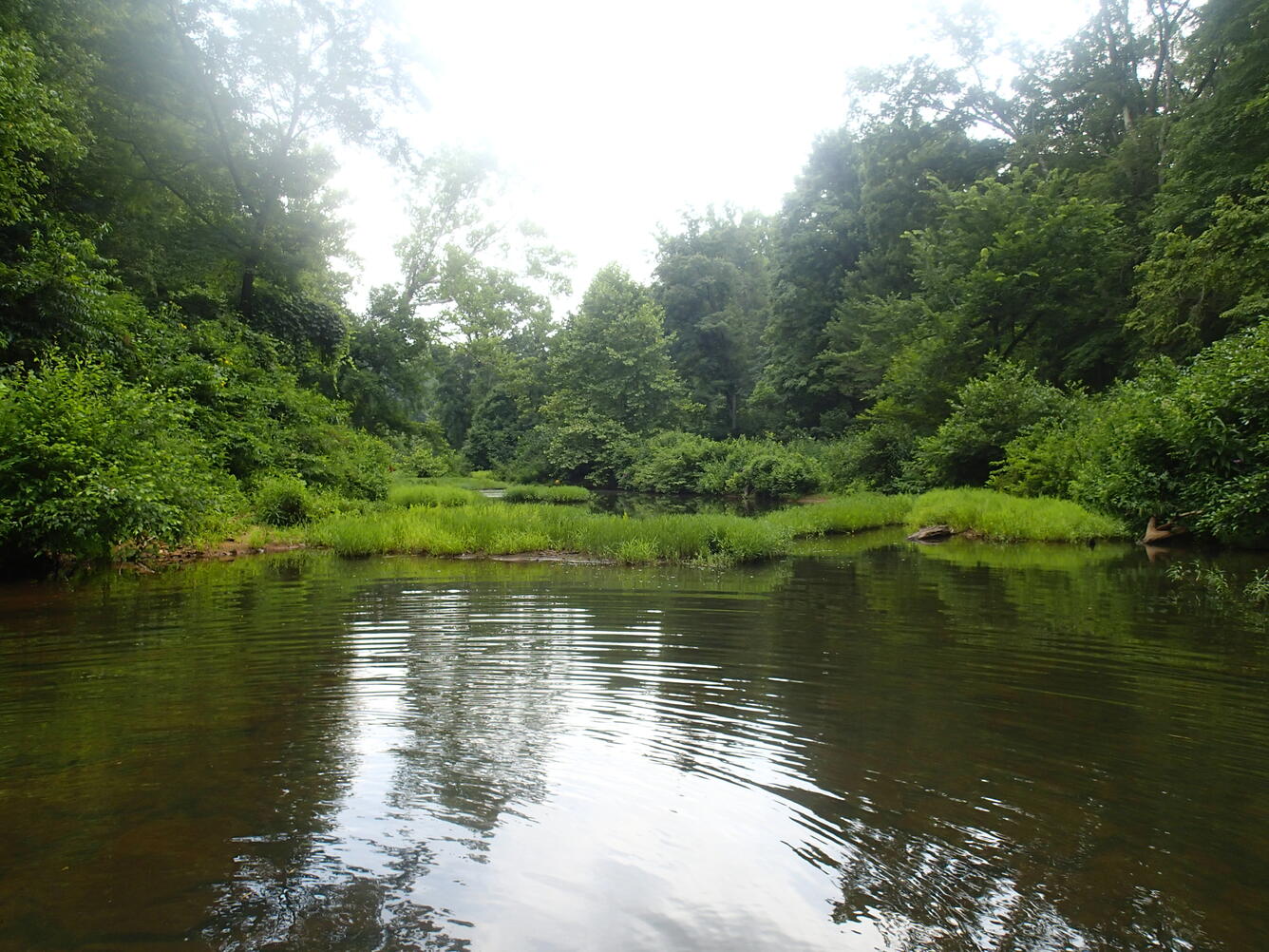 Survey location for MSQA