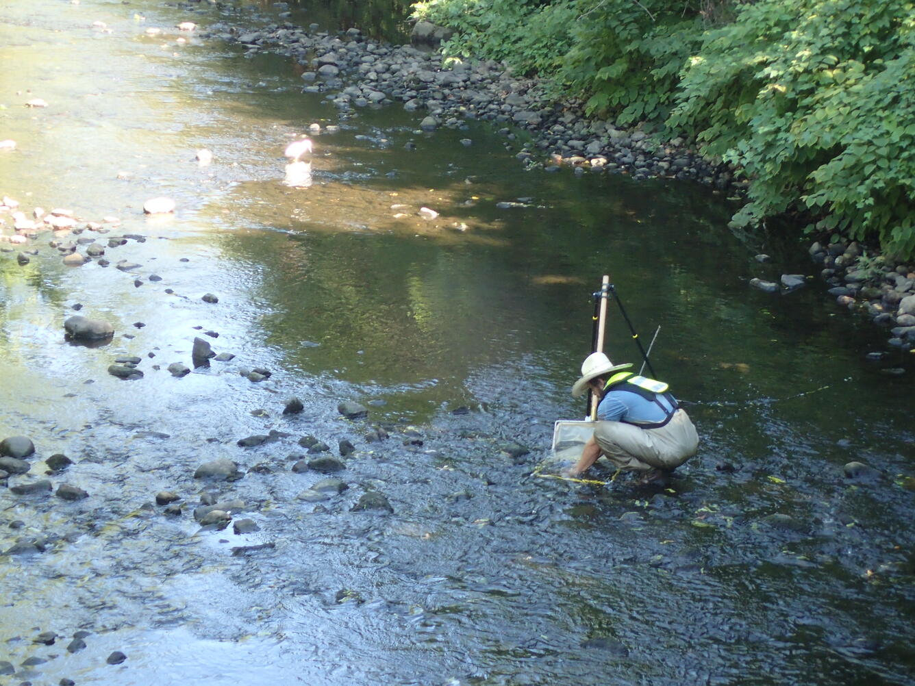 Ecological sampling during NESQA