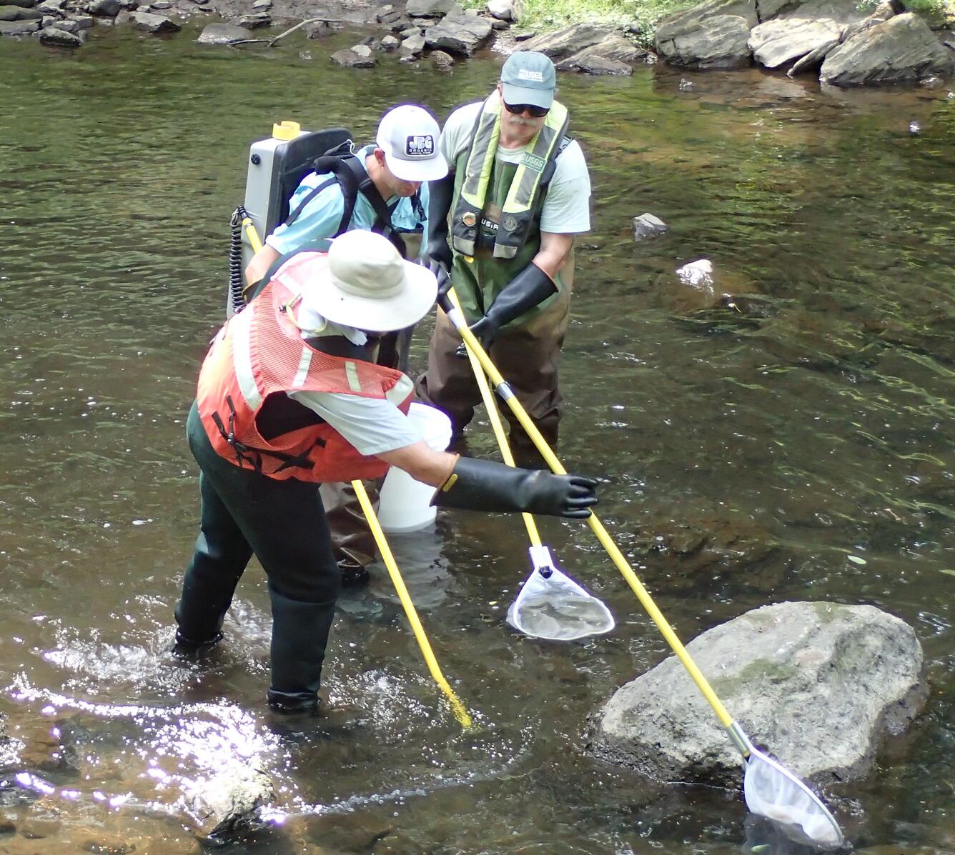 Ecological surveys during NESQA