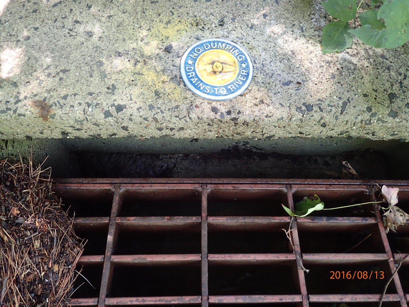 Drains to River medallion by storm drain 