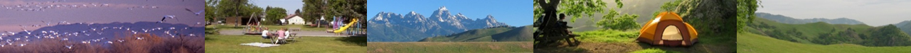 Banner showing landscapes