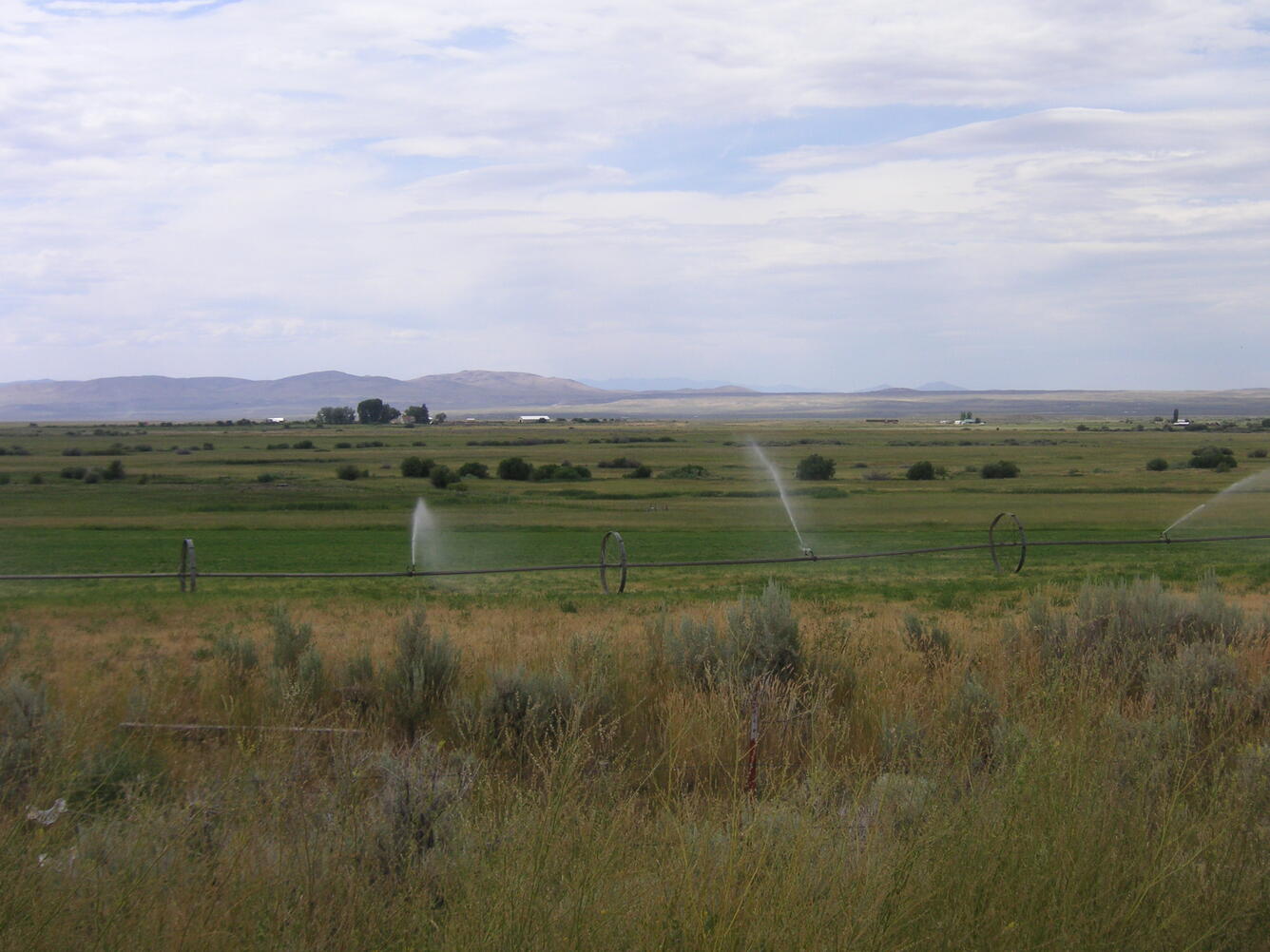 Irrigated crops in the Upper Humboldt River Basin, Nevada