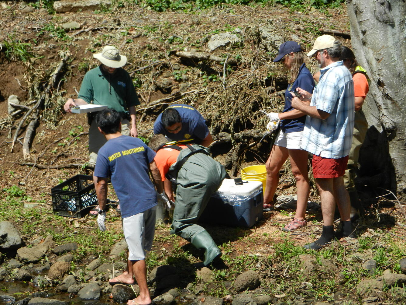 Water-quality sampler training