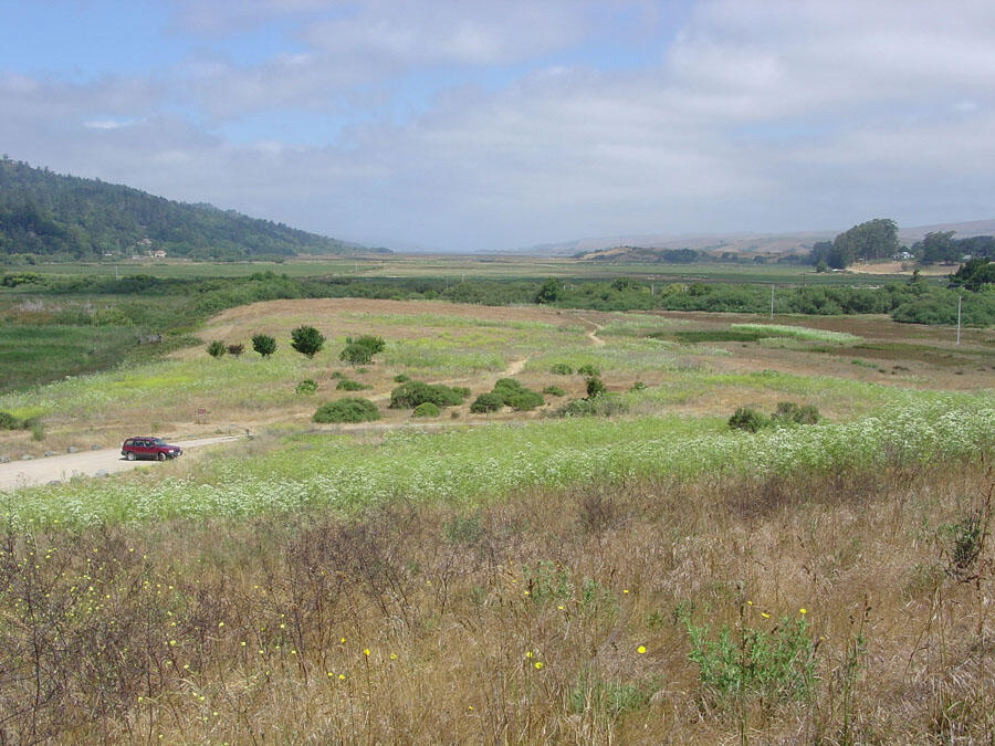 A photo of Bear Valley Road.