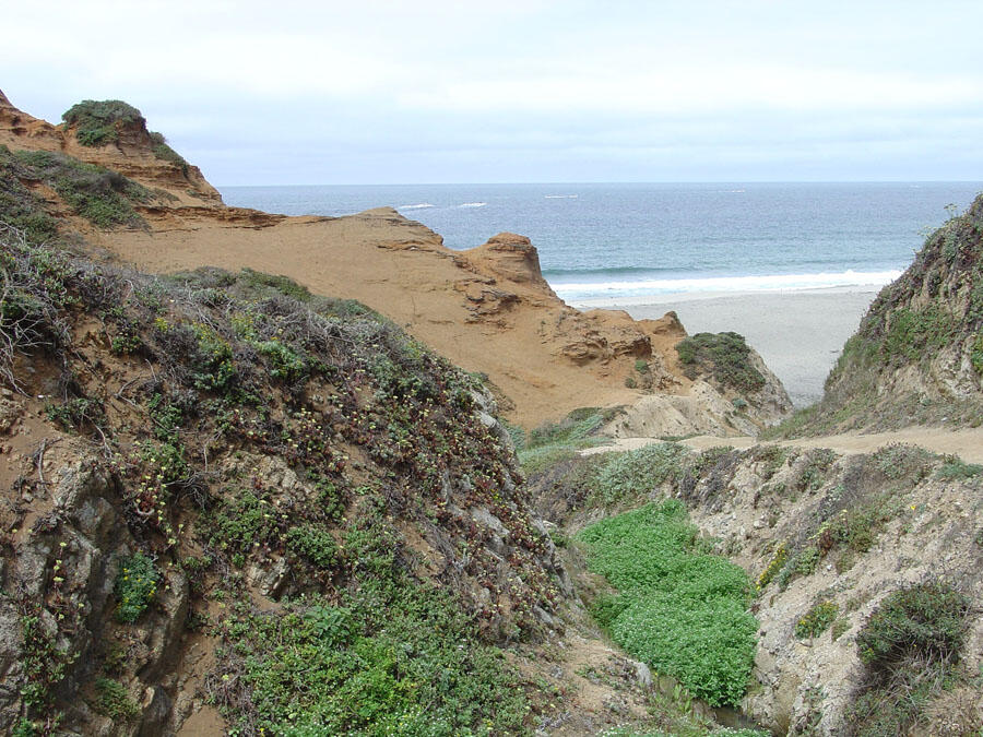 A photo of ancient sand dunes.