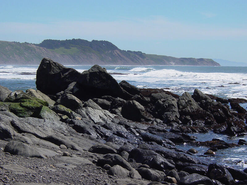 A photo of The Santa Cruz Mudstone.