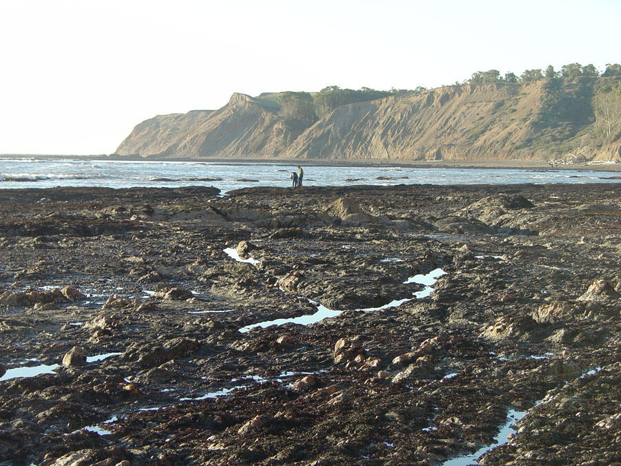 A photo of tide pools.
