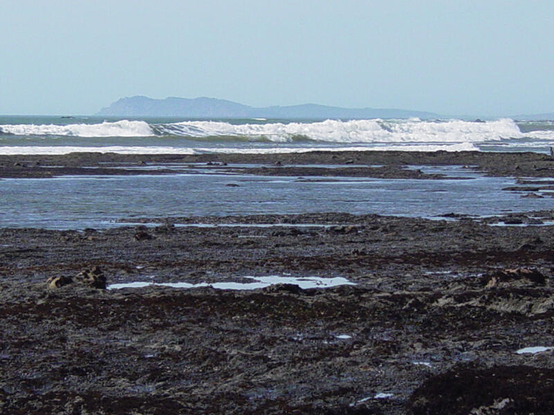 A photo of Palomarin Beach.