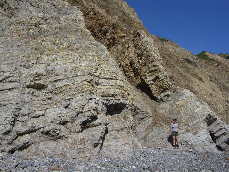 A photo of The Monterey Formation.