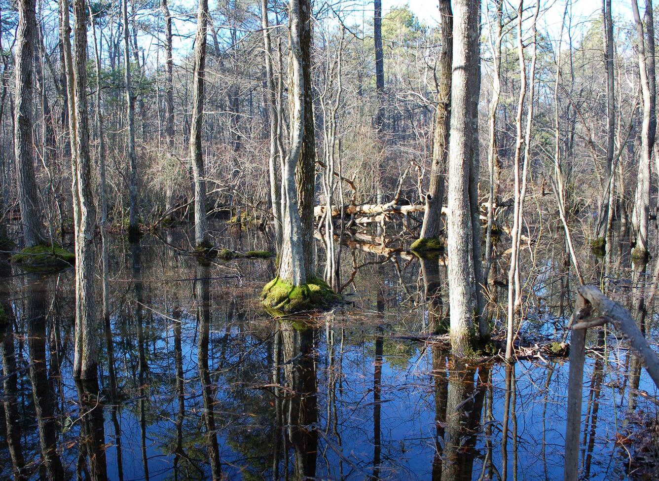 U.S. Fish and Wildlife Service Patuxent Research Refuge in Laurel, MD.