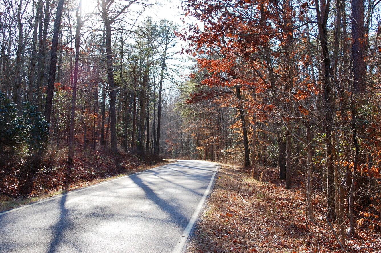 Road into U.S. Fish and Wildlife Service Patuxent Research Refuge in Laurel, MD.