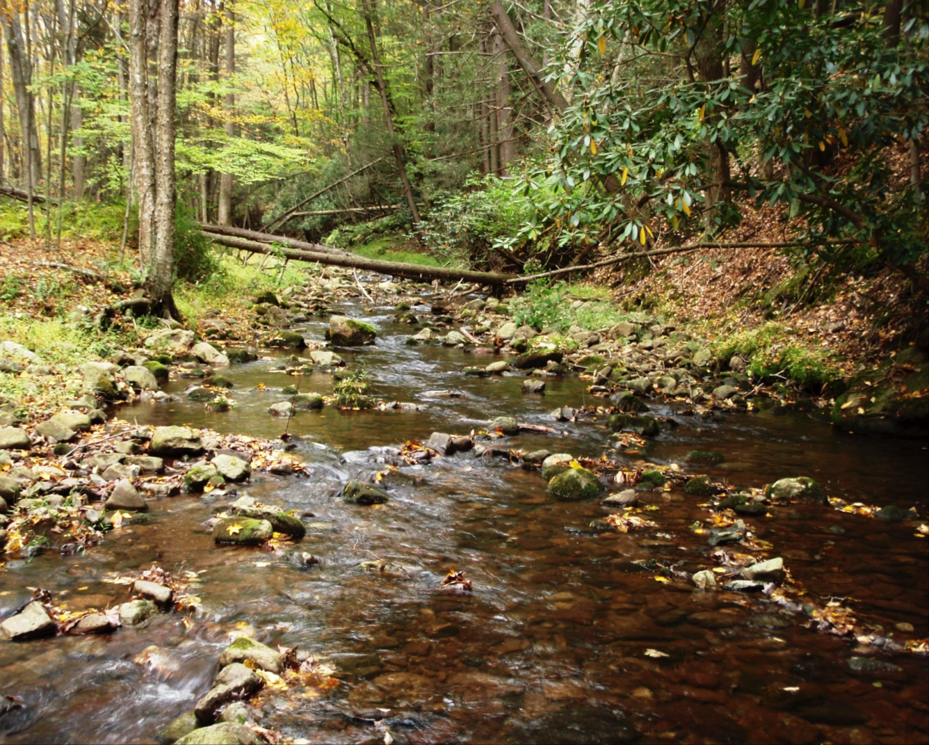 Vancampens Brook in Delaware Water Gap National Recreation Area