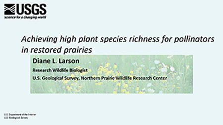 title slide of High Diversity for Pollinators
