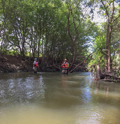 Water quality sampling at Pajero Creek, CSQA