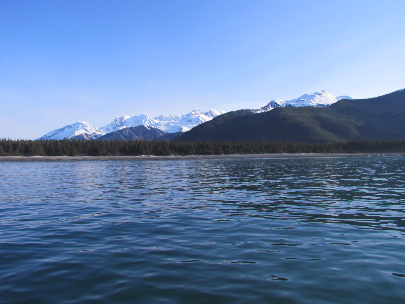 View looks from calm water toward a coastline with gray sand beach and evergreen trees, with mountains in background.