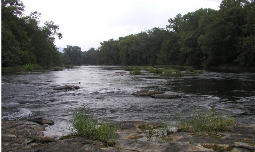 South Fork Shenandoah River near Lynnwood
