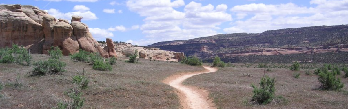 Path leading into the mountains through grassy areas