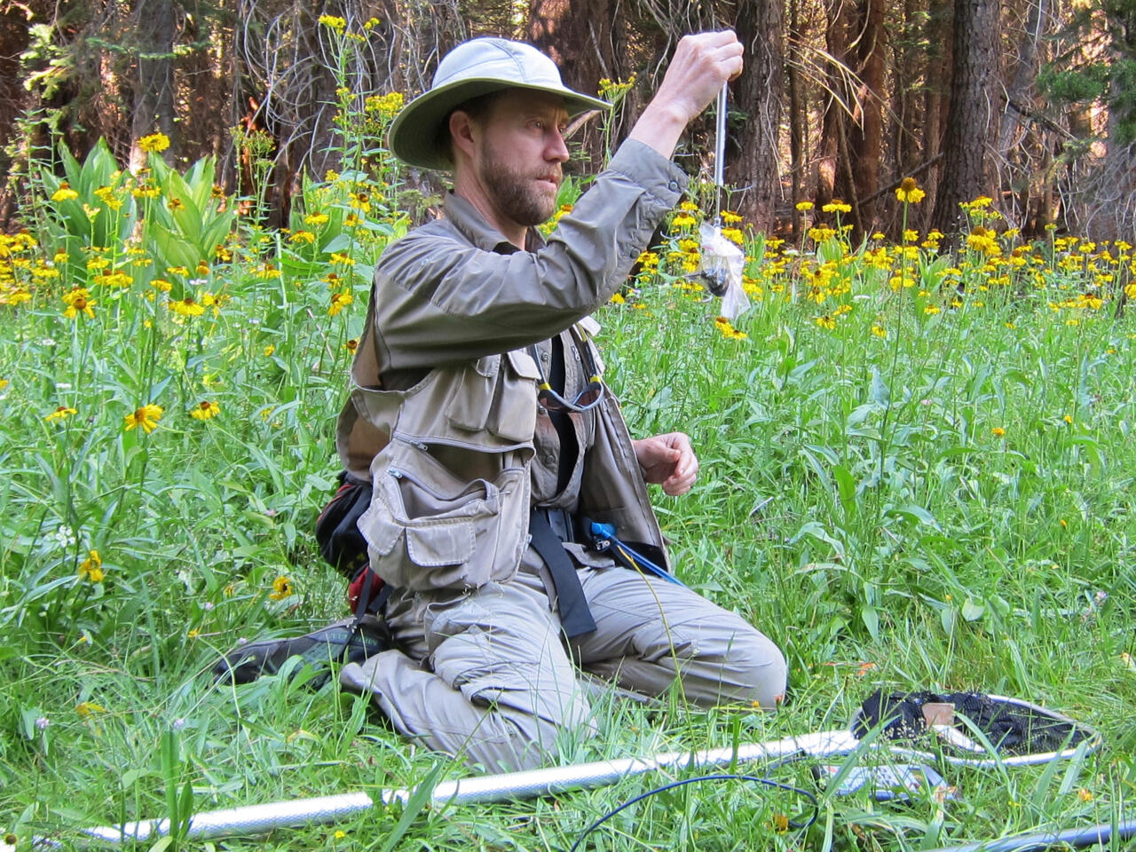 Patrick weighing a frog in a grassy field.